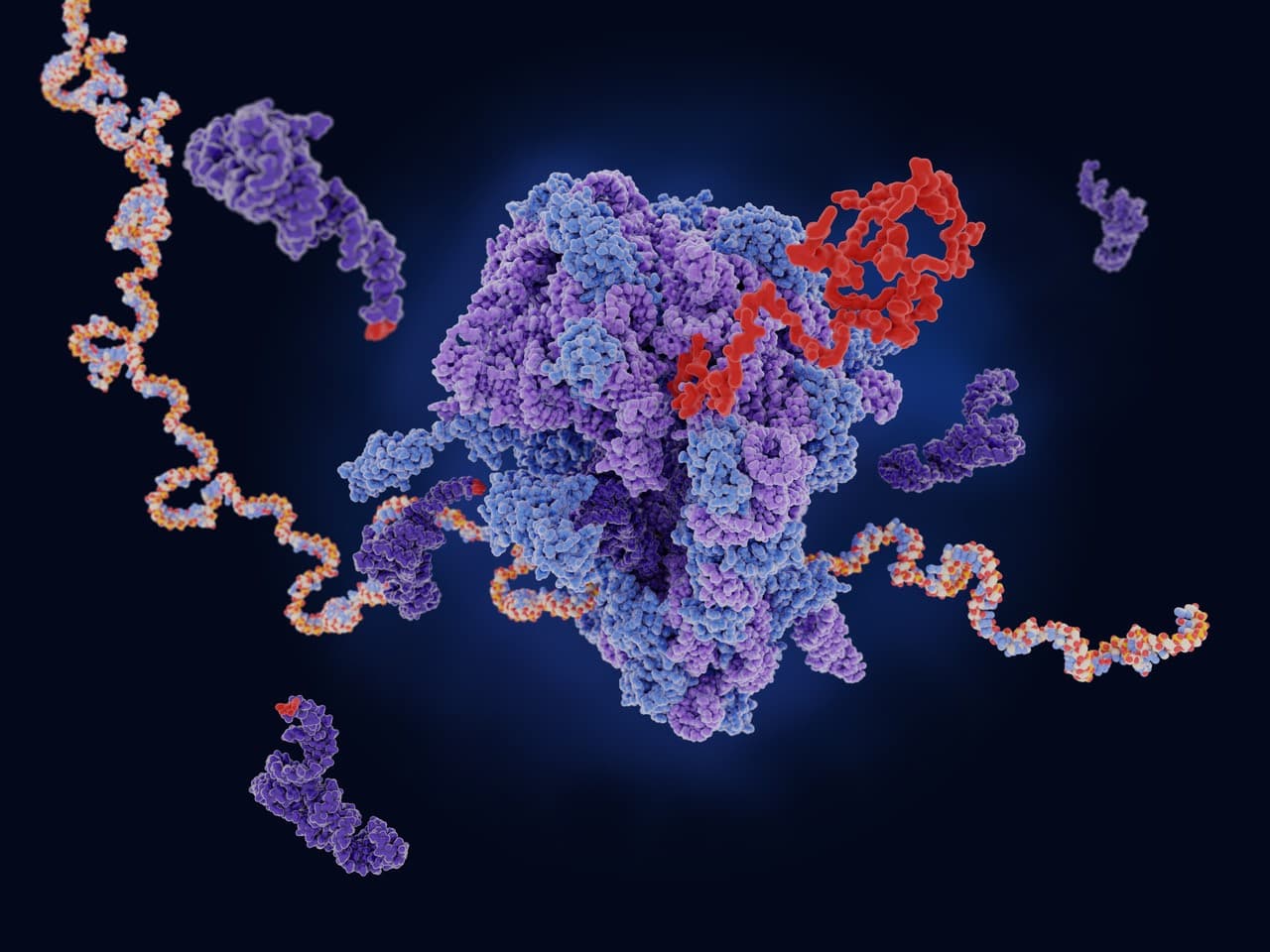 Nanoparticle Structure & Function