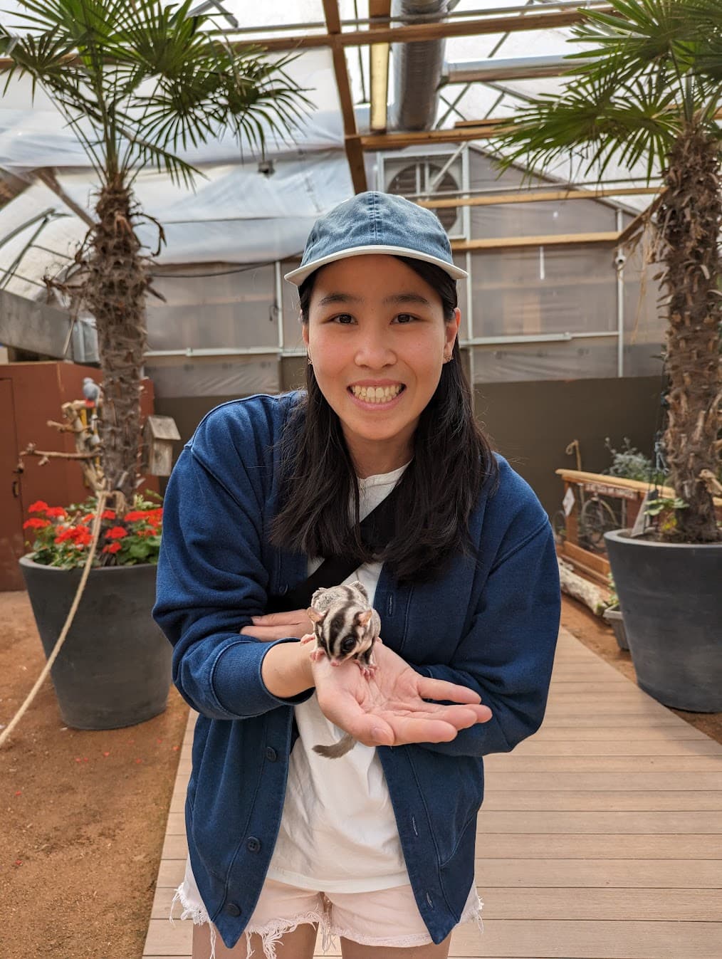Miffy Hok Yan Cheng, PhD